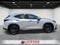 2024 Lexus NX 350 NX 350