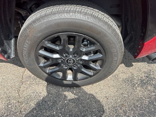 2025 Toyota Tundra 4WD Platinum
