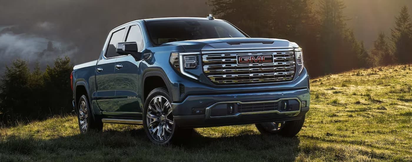 A blue 2025 GMC Sierra 1500 Denali for sale in Dearborn parked on grass.